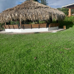 Finca en Venta en Venecia, Venecia — miniatura 7