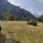 Lote en Venta en Santafe de Antioquia, Santafé De Antioquia — miniatura 20