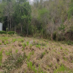 Lote en Venta en Venecia, Venecia — miniatura 12