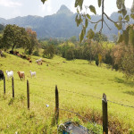 Lote en Venta en Venecia, Venecia — miniatura 18