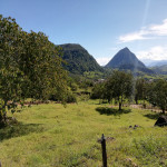 Lote en Venta en Venecia, Venecia — miniatura 20