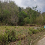 Lote en Venta en Venecia, Venecia — miniatura 9