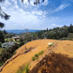 Lote en Venta en Guarne — miniatura 4