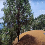 Lote en Venta en Guarne — miniatura 5