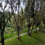 Finca en Venta en Loma Del Escobero, Envigado — miniatura 15
