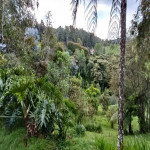 Finca en Venta en Loma Del Escobero, Envigado — miniatura 16