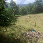 Lote en Venta en Girardota — miniatura 4