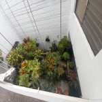 Casa en Venta en Los Colores, Medellín — miniatura 19