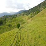 Lote en Venta en Yurupary, La Pintada — miniatura 4