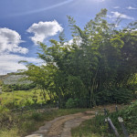 Lote en Venta en Alto del Chocho, Marinilla — miniatura 21