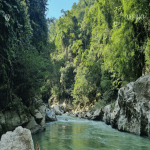 Lote en Venta en Puerto Triunfo — miniatura 15