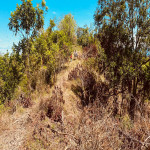Lote en Venta en Puerto Triunfo — miniatura 16