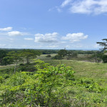 Lote en Venta en Puerto Triunfo — miniatura 5