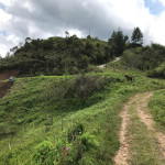 Lote en Venta en El Peñol, Peñol — miniatura 14