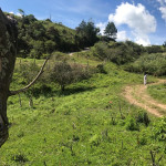 Lote en Venta en El Peñol, Peñol — miniatura 17