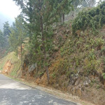 Lote en Venta en El Poblado, Las Palmas, Medellín — miniatura 3