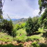 Lote en Venta en Venecia, Venecia — miniatura 3