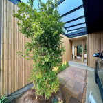 Casa en Venta en ALTO DE PALMAS, Envigado — miniatura 12