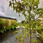 Casa en Venta en ALTO DE PALMAS, Envigado — miniatura 14