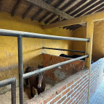 Finca en Venta en Chaparral, La Ceja — miniatura 20