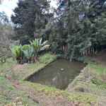 Finca en Venta en Chaparral, La Ceja — miniatura 26