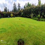 Casa en Venta en Llanogrande, Rionegro — miniatura 9
