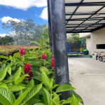 Casa en Venta en Vereda la Clarita, Guarne — miniatura 12