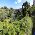 Lote en venta en Guarne, Guarne