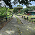 Finca en Venta en Girardota, Girardota — miniatura 29