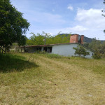 Finca en Venta en La Ceja, La Ceja — miniatura 10