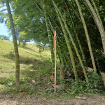 Finca en Venta en La Ceja, La Ceja — miniatura 12