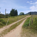 Finca en Venta en La Ceja, La Ceja — miniatura 13