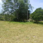 Finca en venta en La Ceja, La Ceja