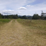 Finca en Venta en La Ceja, La Ceja — miniatura 2