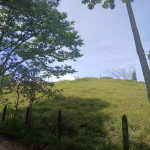 Finca en Venta en La Ceja, La Ceja — miniatura 4