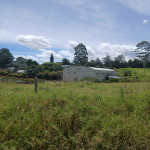 Finca en Venta en La Ceja, La Ceja — miniatura 5