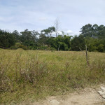 Finca en Venta en La Ceja, La Ceja — miniatura 7