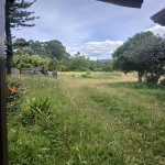 Finca en Venta en La Ceja, La Ceja — miniatura 8