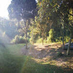 Lote en Venta en El Retiro Palmas, Retiro — miniatura 29