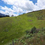 Lote en Venta en Guarne, Guarne — miniatura 3