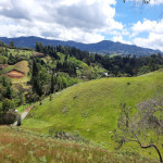 Lote en Venta en Guarne, Guarne — miniatura 5