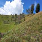 Lote en Venta en Guarne, Guarne — miniatura 6