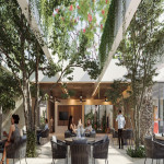 Lote en Venta en Yucatan, Mexico — miniatura 8