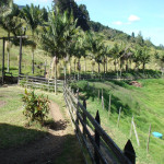 Lote en Venta en San Cristóbal, Medellín — miniatura 10