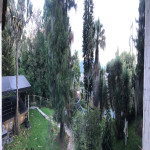 Finca en Venta en Los Balsos, Medellín — miniatura 3