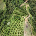 Finca en Venta en vereda la sonadora, San Vicente — miniatura 10