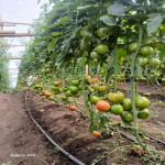 Finca en Venta en vereda la sonadora, San Vicente — miniatura 1