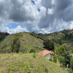 Finca en Venta en vereda la sonadora, San Vicente — miniatura 5