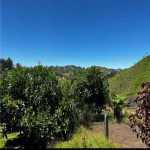 Finca en Venta en vereda la sonadora, San Vicente — miniatura 9