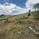 Lote en Venta en El Tablazo, Rionegro — miniatura 13
